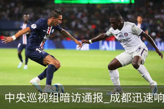 中央巡视组暗访通报 成都迅速响应立案拟顶格处罚