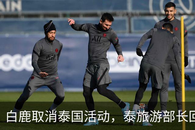 白鹿取消泰国活动，泰旅游部长回应惹争议